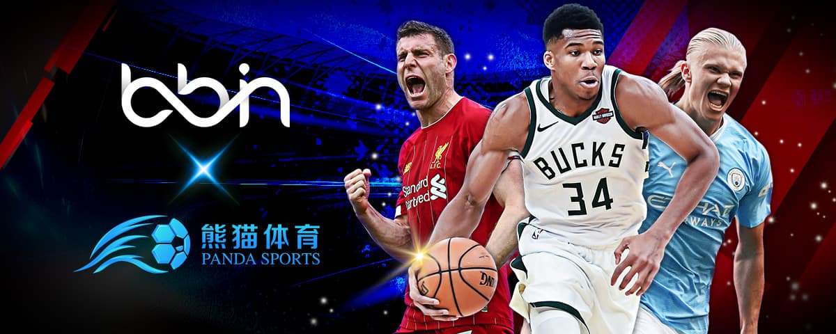 大的亮点